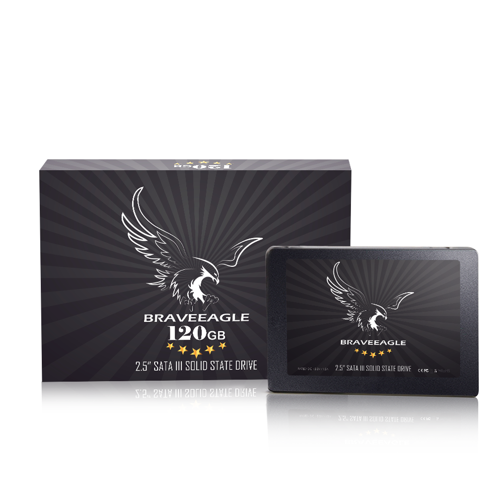 BRAVEEAGLE SSD 120GB 2,5 Zoll SATA 3 Solid State Drive 3D NAND,Internes SSD für PC/Laptop SSD 120GB 